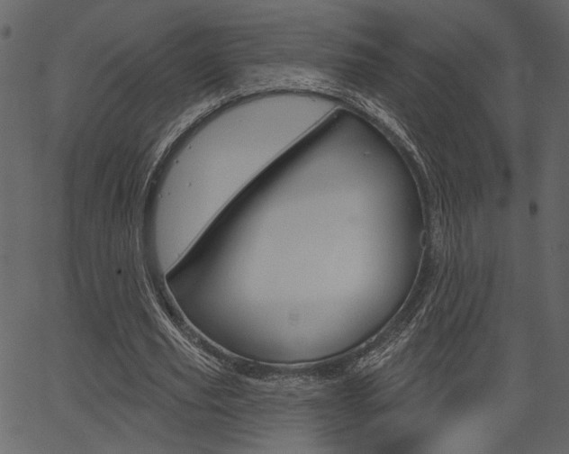 X0000067390629200603310956