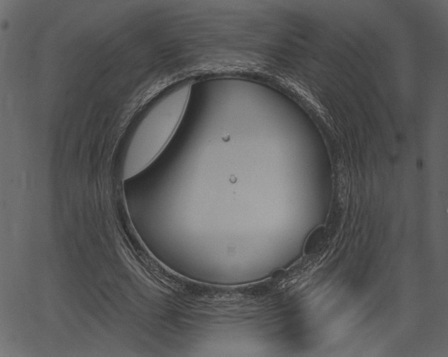 X0000067390631200603310956