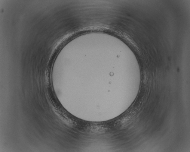 X0000067390632200603310956