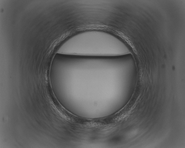 X0000067390633200603310956