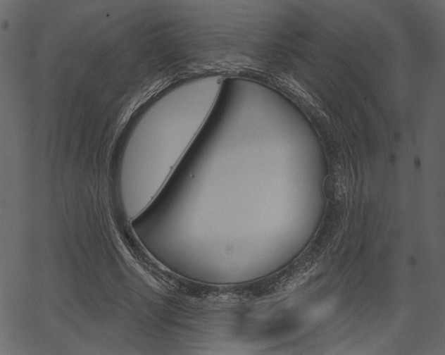 X0000067390634200603310956