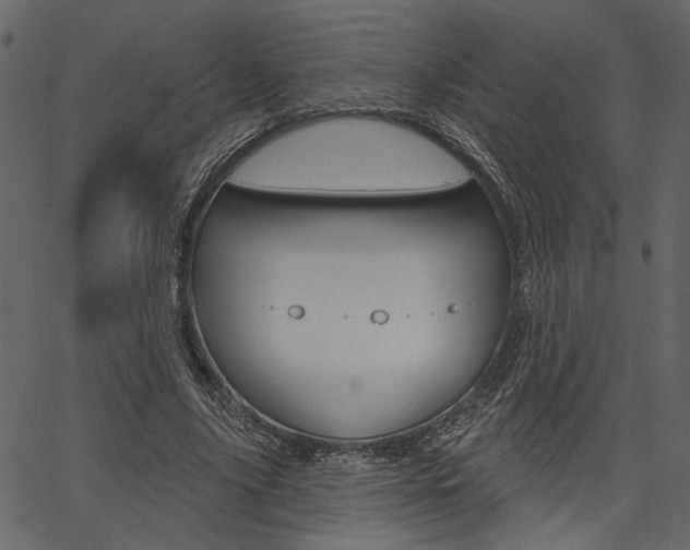 X0000067390635200603310956