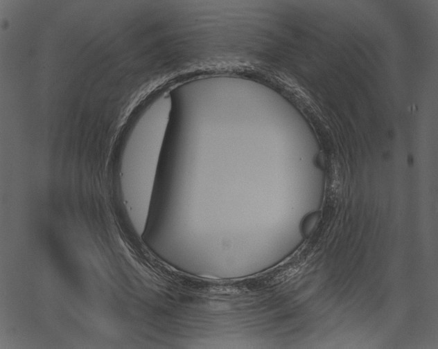 X0000067390636200603310956