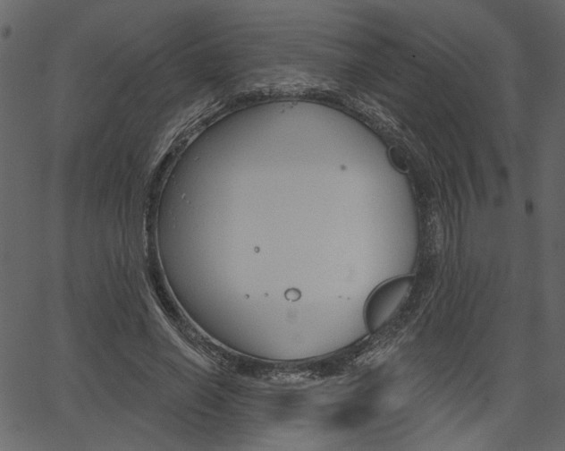 X0000067390638200603310956