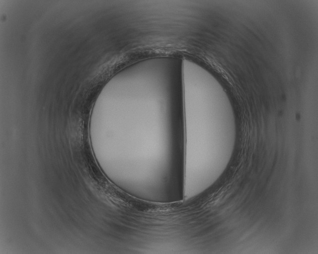 X0000067390639200603310956