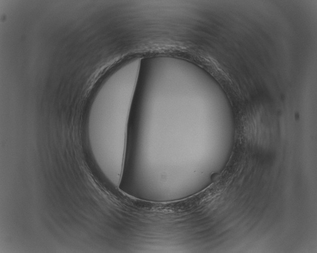 X0000067390640200603310956