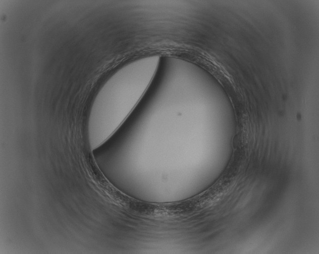 X0000067390641200603310956