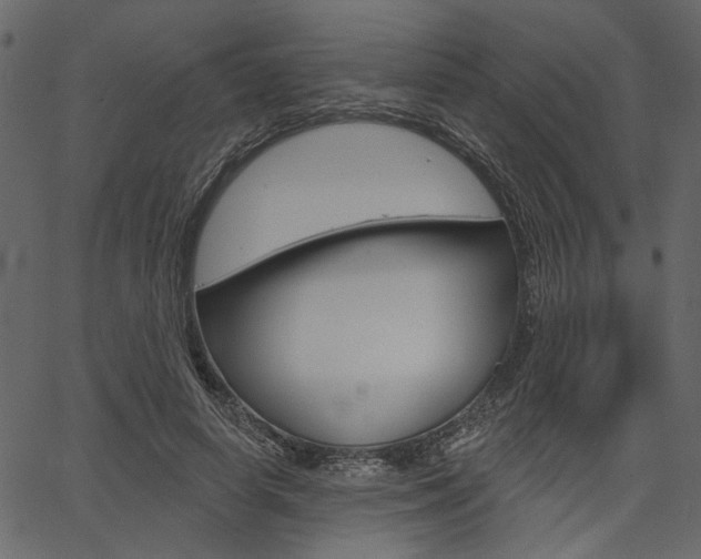 X0000067390642200603310956