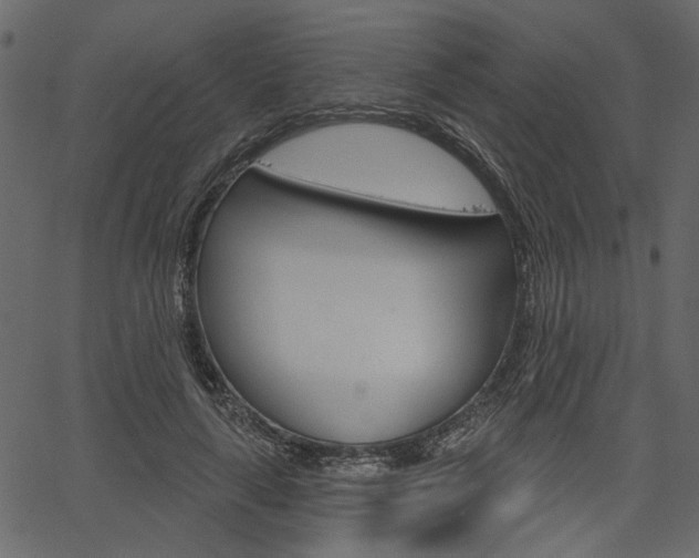 X0000067390643200603310956