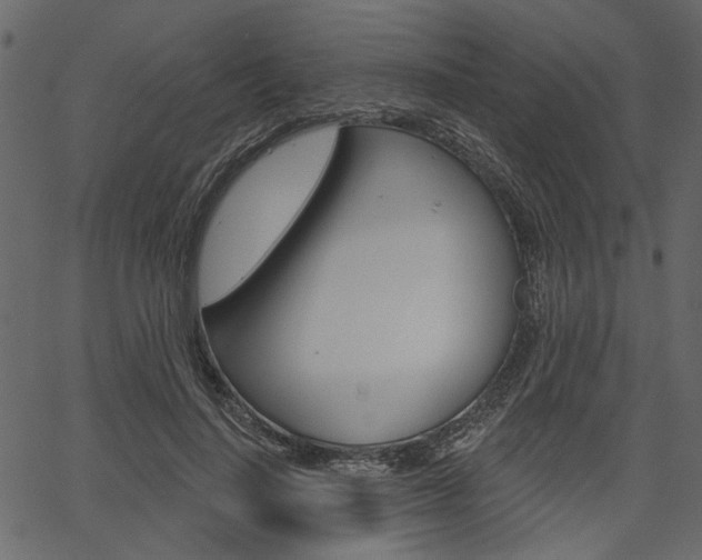 X0000067390644200603310956