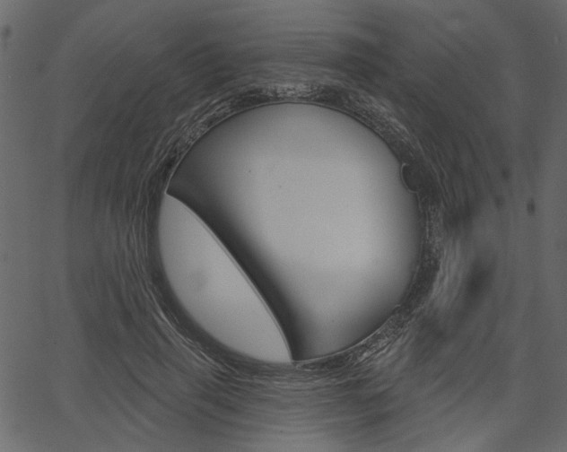 X0000067390645200603310956