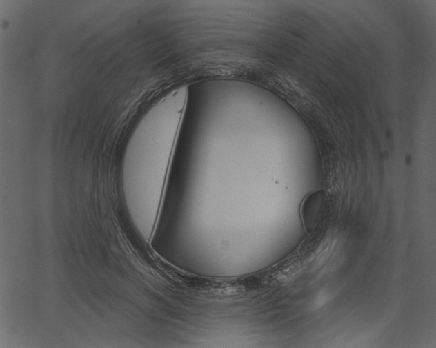 X0000067390646200603310956