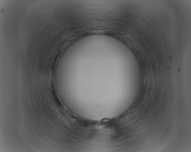 X0000067390647200603310956