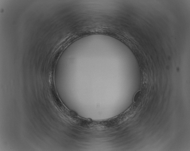 X0000067390648200603310956