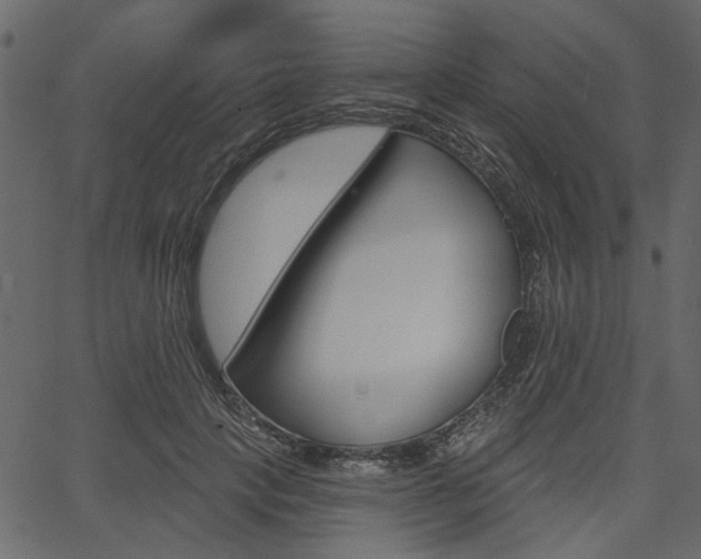 X0000067390649200603310956