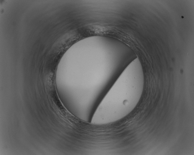 X0000067390650200603310956