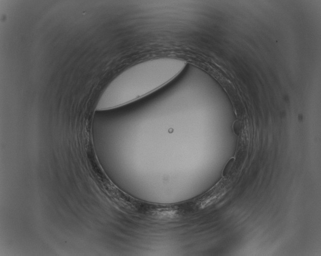 X0000067390651200603310956