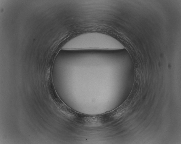 X0000067390652200603310956