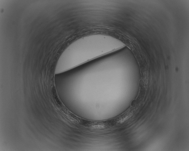 X0000067390653200603310956