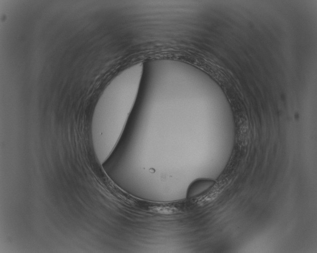 X0000067390654200603310957