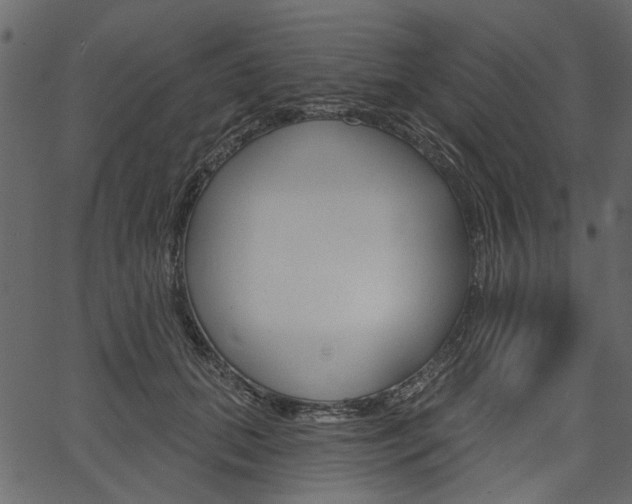 X0000067390655200603310957