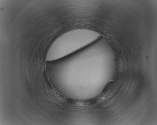 X0000067390657200603310957