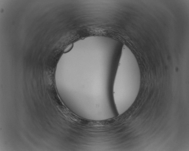 X0000067390658200603310957