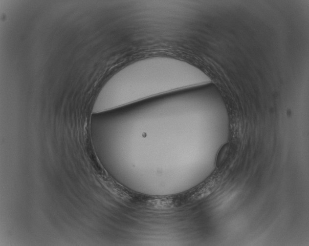 X0000067390660200603310957