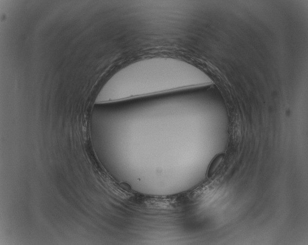 X0000067390661200603310957