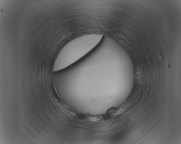 X0000067390662200603310957