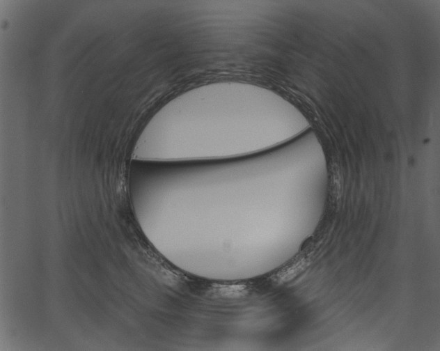 X0000067390665200603310957