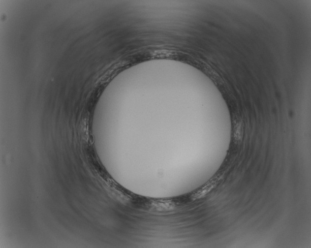 X0000067390666200603310957