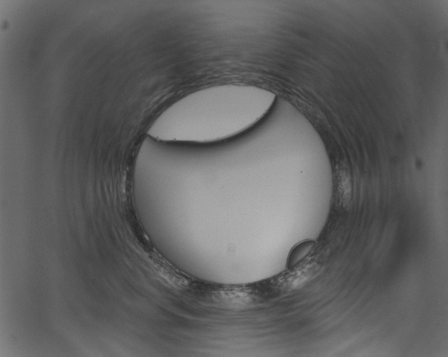 X0000067390668200603310957