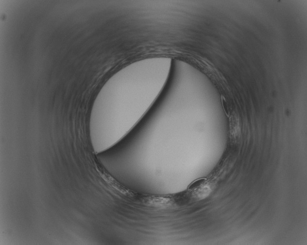 X0000067390669200603310957