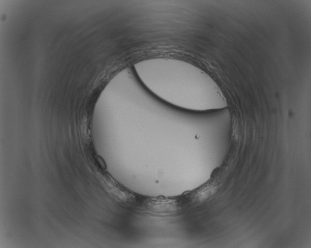 X0000067390670200603310957