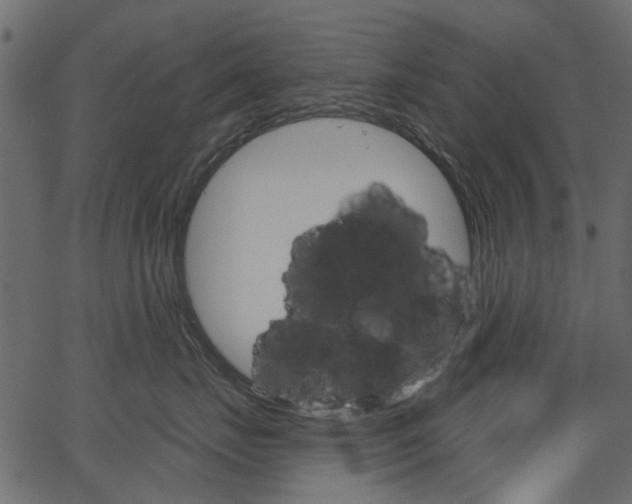 X0000067390671200603310957