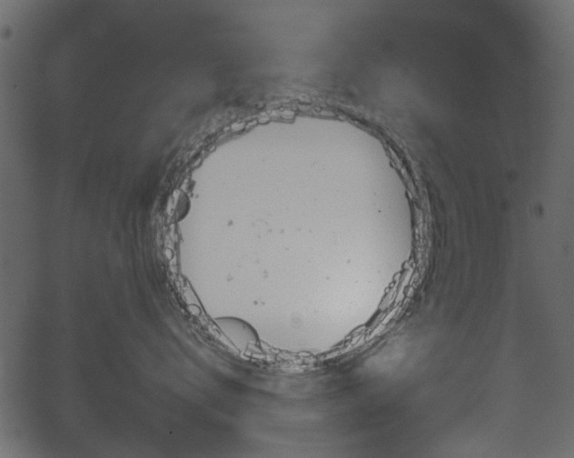 X0000067390672200603310957