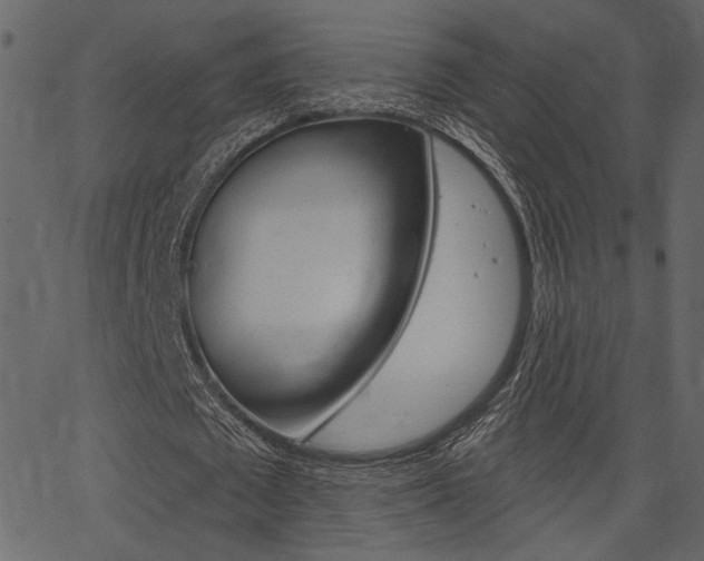 X0000067390673200603310956