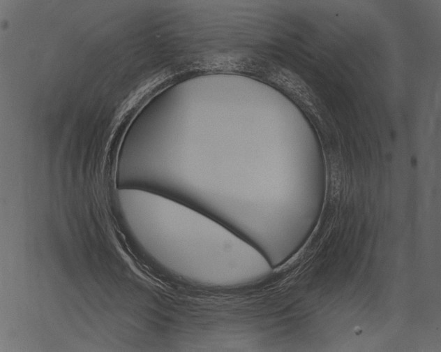 X0000067390674200603310956