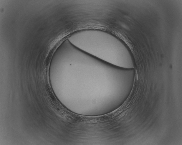 X0000067390675200603310956