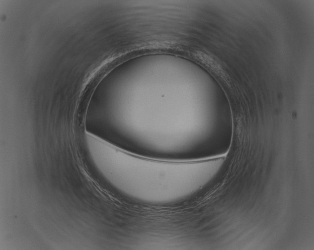 X0000067390676200603310956