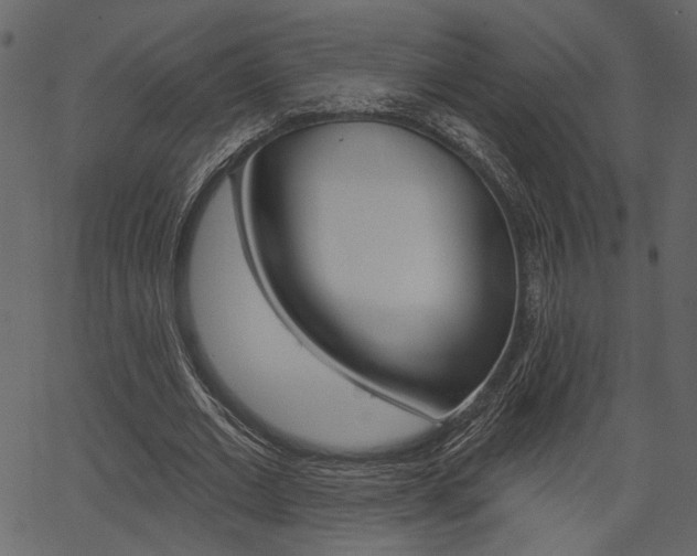 X0000067390677200603310956