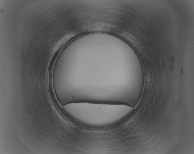 X0000067390678200603310956