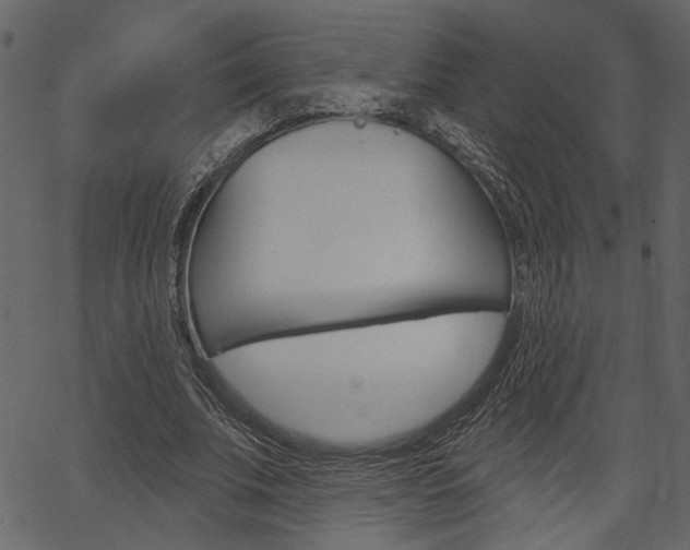 X0000067390679200603310956