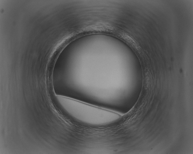 X0000067390680200603310956