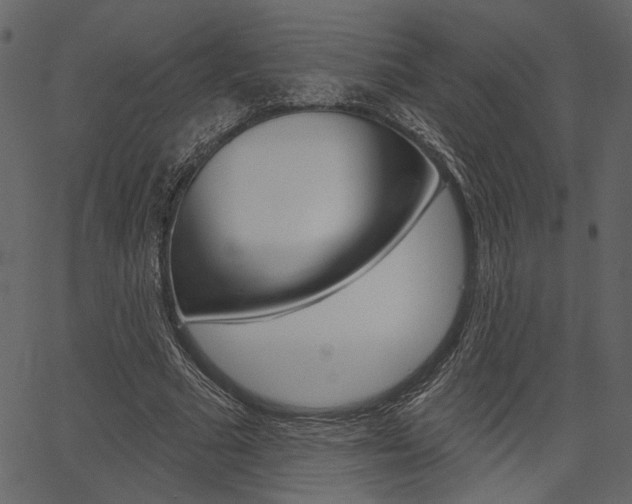 X0000067390681200603310956