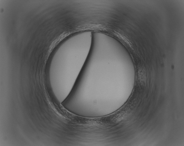 X0000067390682200603310956