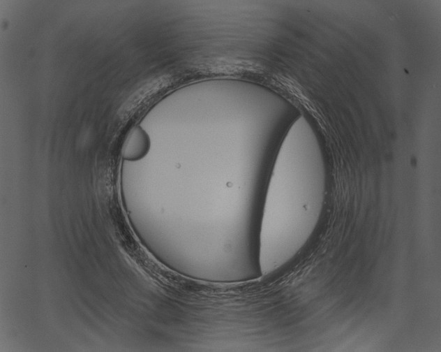 X0000067390683200603310956