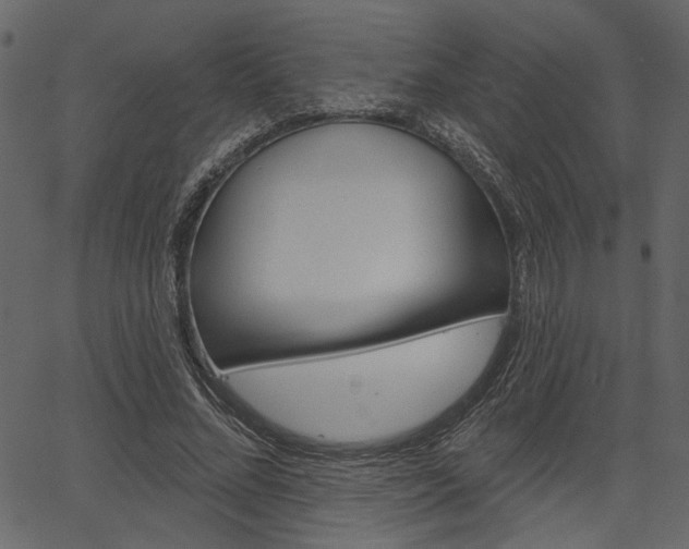 X0000067390684200603310956