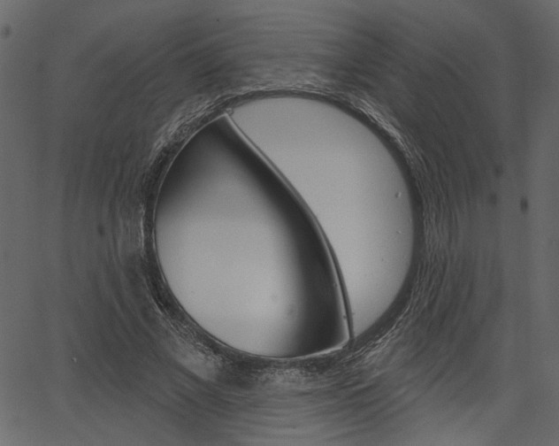 X0000067390685200603310956